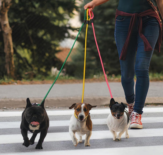 Slip Lead Leash