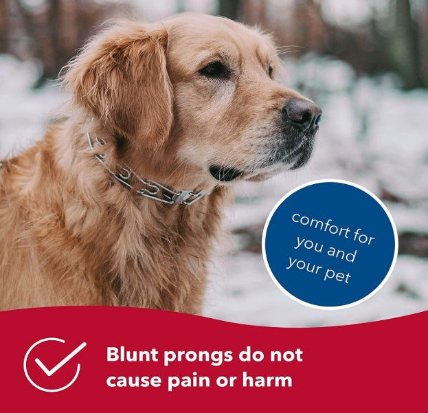 Prong Collar