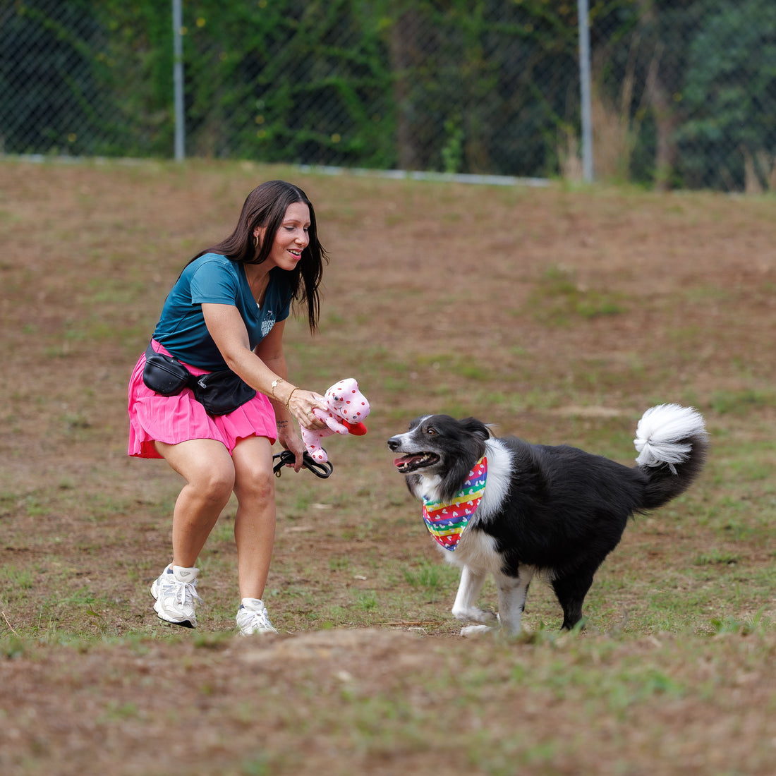 La Tos de las Perreras: Lo que Todo Guardián Debe Saber para Proteger a su Perro