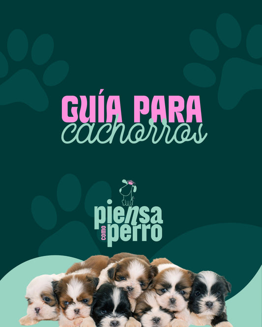 Guía para Cachorros