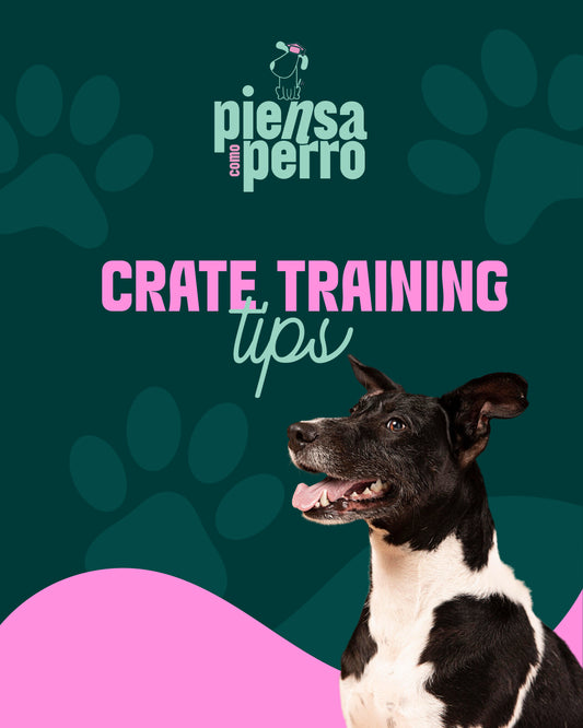 Crate Training Tips