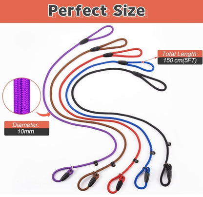 Slip Lead Leash