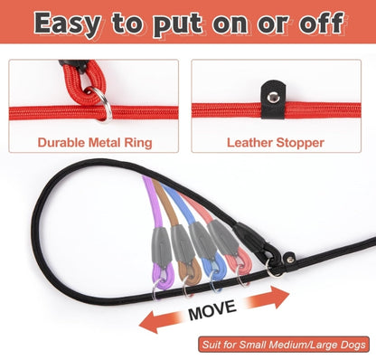 Slip Lead Leash